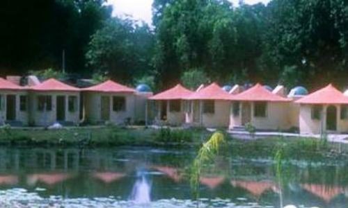 the-jewel-of-the-jungle-in-panna