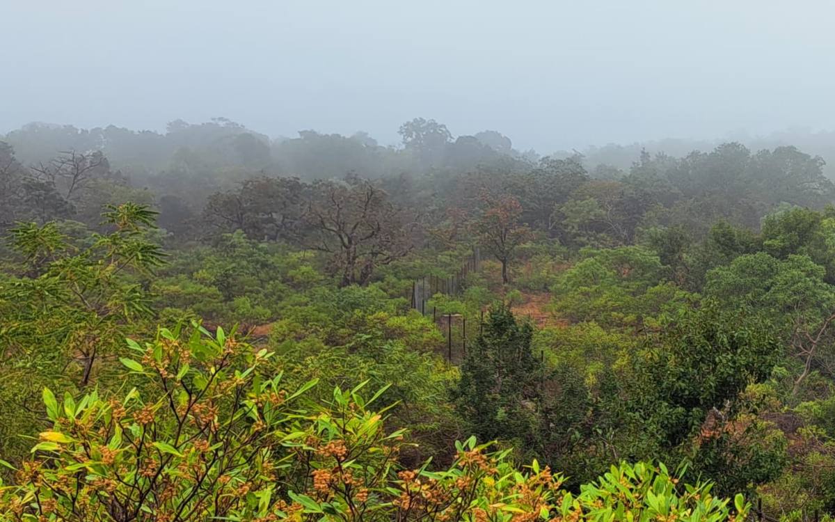 Satpura National Park